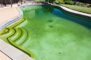 Swimming Pool Cleaning